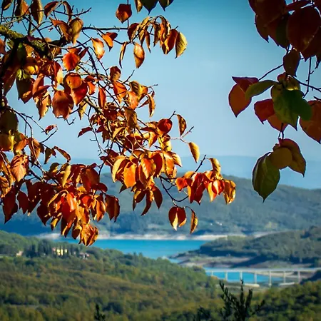 Alloggio per agriturismo Terra Di Michelangelo Caprese Michelangelo