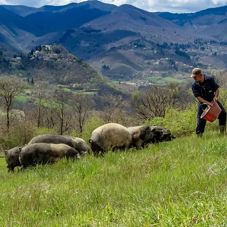 Terra Di Michelangelo *