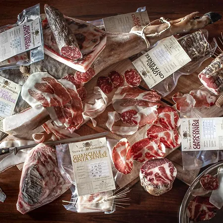 Alloggio per agriturismo Terra Di Michelangelo *