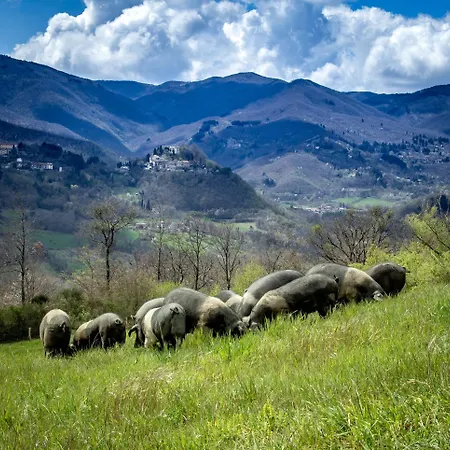 Terra Di Michelangelo Alloggio per agriturismo *